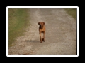 Lucas_und_Jim__(4)